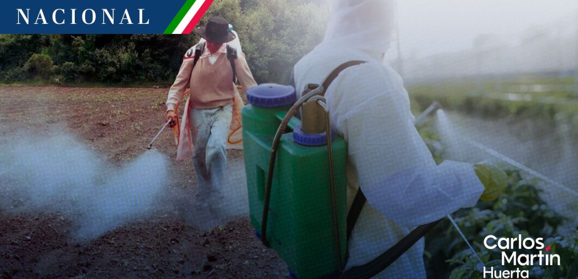 México prohíbe 35 plaguicidas dañinos para la salud y el medio ambiente