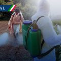 México prohíbe 35 plaguicidas dañinos para la salud y el medio ambiente