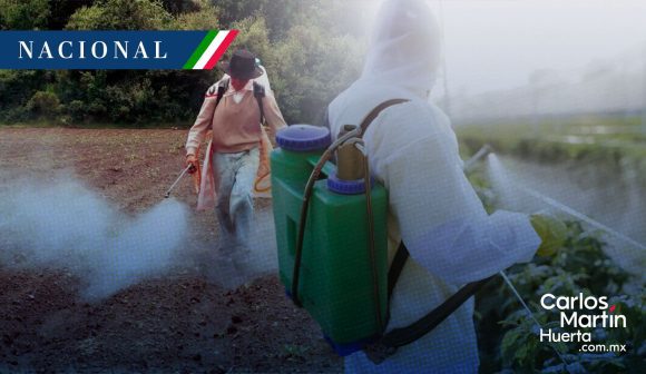 México prohíbe 35 plaguicidas dañinos para la salud y el medio ambiente