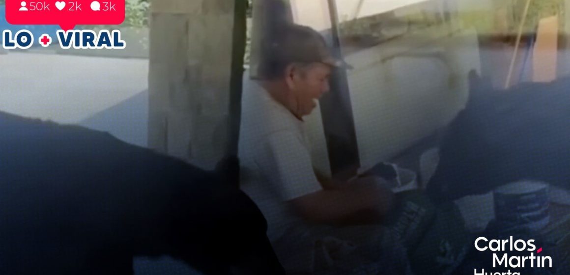 ¡Sorprendente! Oso roba comida a trabajadores en Nuevo León