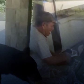 ¡Sorprendente! Oso roba comida a trabajadores en Nuevo León
