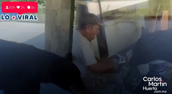 ¡Sorprendente! Oso roba comida a trabajadores en Nuevo León