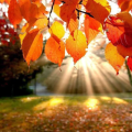 ¿Cuándo es el equinoccio de otoño 2025 y qué significa?