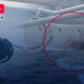Pasajera de crucero queda atrapada a 30 metros de altura dentro de tobogán acuático
