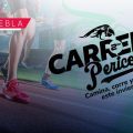 Pericos de Puebla invita a su carrera “Camina, Corre y Vuela este Invierno 2025”