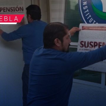Profeco suspende actividades del Instituto Educalia David Weikart