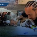 Murió Roscoe, perro de Lewis Hamilton