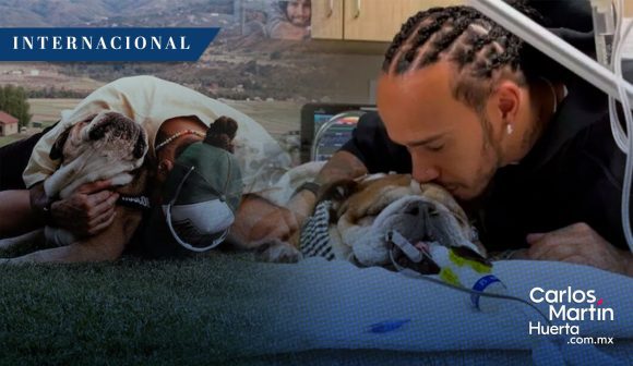 Murió Roscoe, perro de Lewis Hamilton