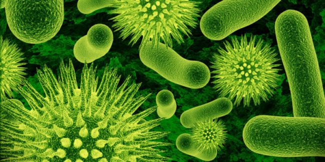 UNAM advierte que en 2050 la resistencia a antibioticos podria causar 10 millones de muertes al ano 3