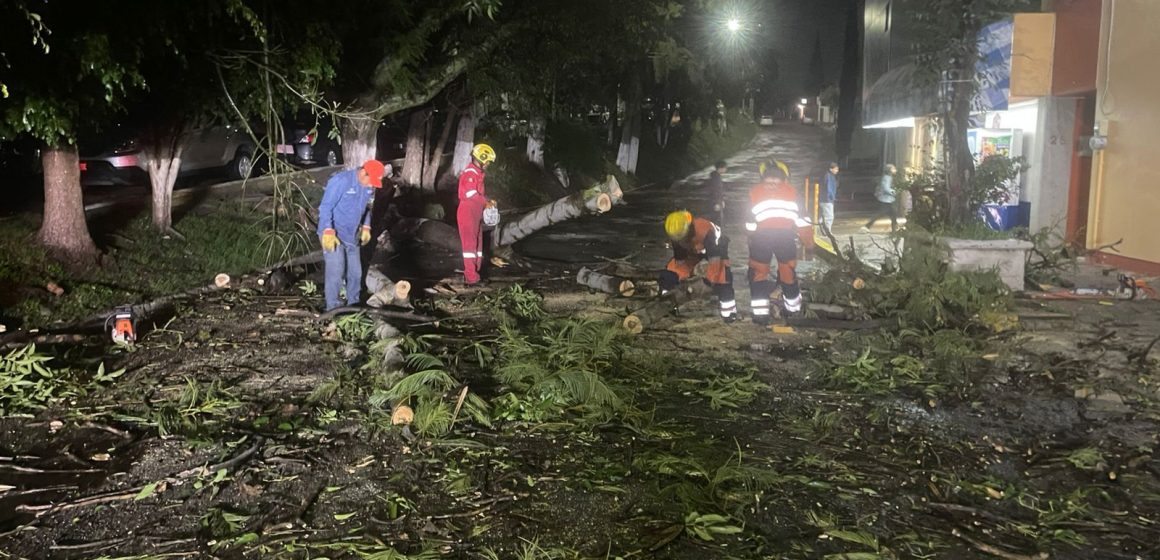 Fuertes lluvias en Puebla provocan caída de árboles, espectaculares e inundaciones