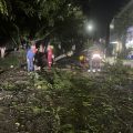 Fuertes lluvias en Puebla provocan caída de árboles, espectaculares e inundaciones