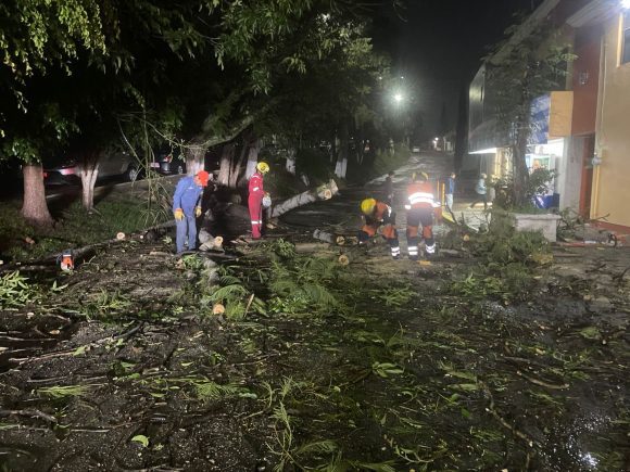 Fuertes lluvias en Puebla provocan caída de árboles, espectaculares e inundaciones