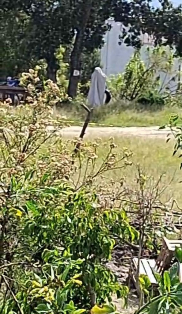 Hallan cadáver de hombre colgado de un árbol en Fundadores del Ejido, Puebla 1 WhatsApp Image 2025 09 09 at 2.54.35 PM 1