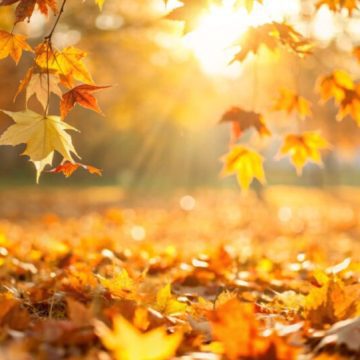¿Cuándo llega el equinoccio de otoño 2026 en México?