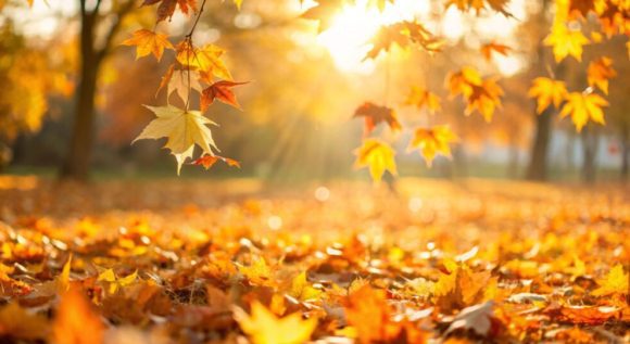 otoño ¿Cuándo llega el equinoccio de otoño 2026 en México?