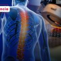 ¡Avance científico! Desarrollan estructuras impresas en 3D para reparar la médula espinal