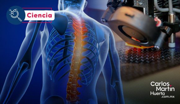 ¡Avance científico! Desarrollan estructuras impresas en 3D para reparar la médula espinal