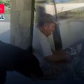 ¡Sorprendente! Oso roba comida a trabajadores en Nuevo León
