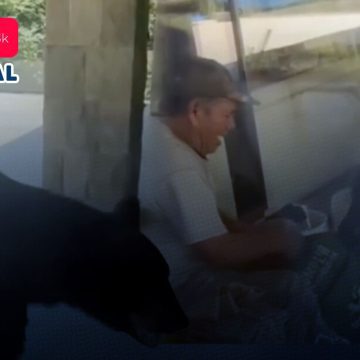 ¡Sorprendente! Oso roba comida a trabajadores en Nuevo León