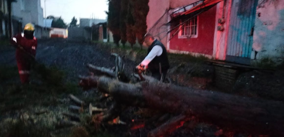 Se realiza retiro de árboles y limpieza en diversos puntos de la ciudad de Puebla