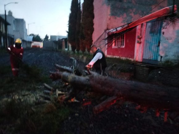 Se realiza retiro de árboles y limpieza en diversos puntos de la ciudad de Puebla