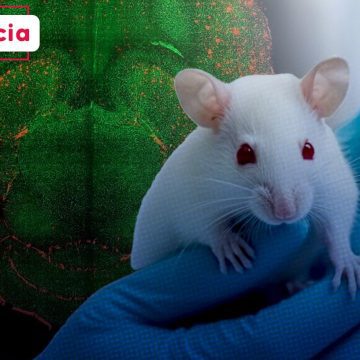 ¡Avance histórico! Nanotecnología revierte el Alzheimer en ratones