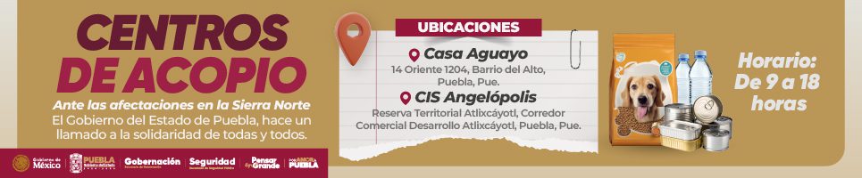 Anuncio SEGOB 965x200 SEGOB 1