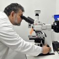 Investigador de la BUAP desarrolla biosensores para detectar bacterias patógenas y toxinas