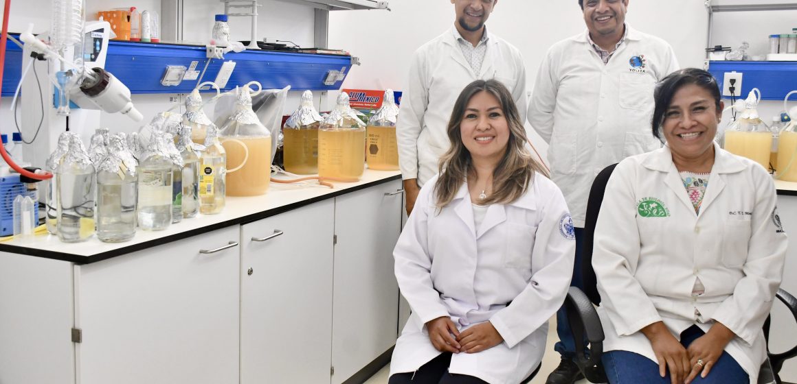 Cultiva más y gasta menos con Inocrep de la BUAP