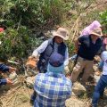 Puebla alcanza 86.6 por ciento de efectividad en localización de personas
