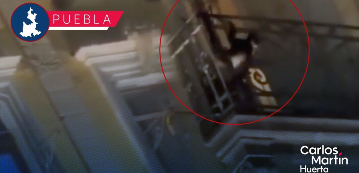 Portada Captan a mono araña en pleno Zócalo de Puebla; se balanceaba en balcón de Los Portales CMH Captan a mono araña en pleno Zócalo de Puebla; se balanceaba en balcón de Los Portales