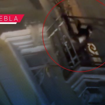 Portada Captan a mono araña en pleno Zócalo de Puebla; se balanceaba en balcón de Los Portales CMH Captan a mono araña en pleno Zócalo de Puebla; se balanceaba en balcón de Los Portales