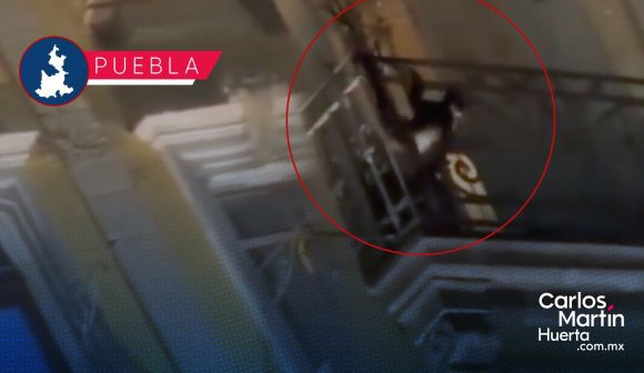 Captan a mono araña en pleno Zócalo de Puebla; se balanceaba en balcón de Los Portales