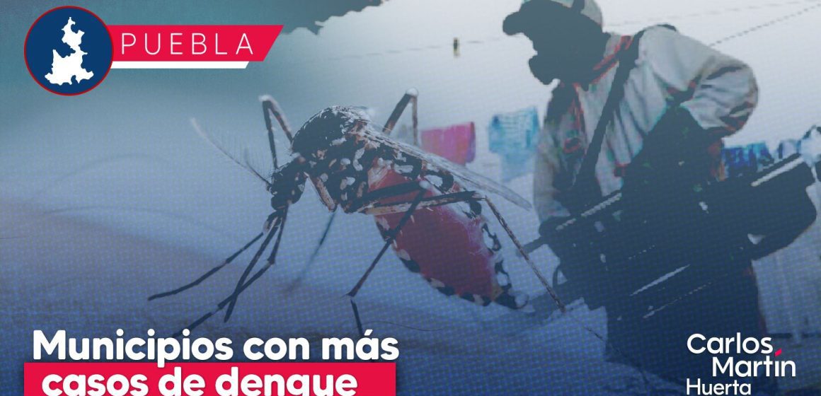 Dengue en Puebla: Ayotoxco y Acateno son los municipios con mayor incidencia