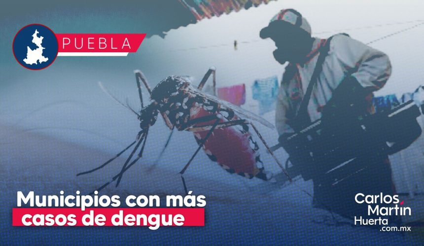 Dengue en Puebla: Ayotoxco y Acateno son los municipios con mayor incidencia