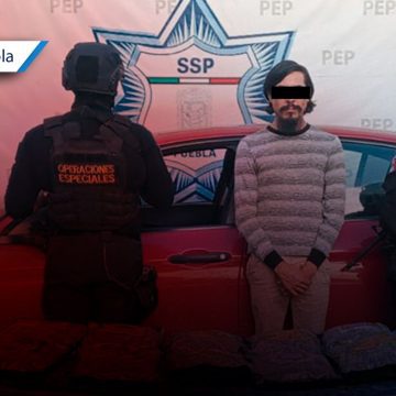 Decomisan casi 5 kg de marihuana en Coronango; SSP detiene a presunto distribuidor