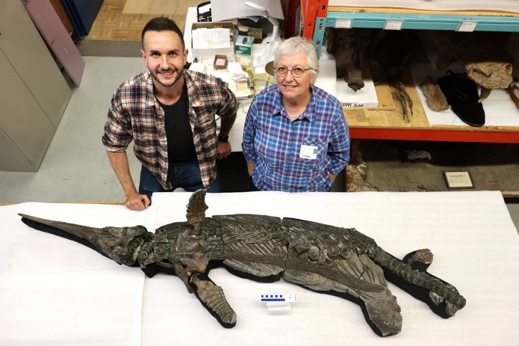 Dragón espada: Descubren nueva especie de reptil marino prehistórico 1 Dragón espada: Descubren nueva especie de reptil marino prehistórico