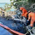 Pemex recupera más de 1.6 millones de litros de hidrocarburo en el río Pantepec