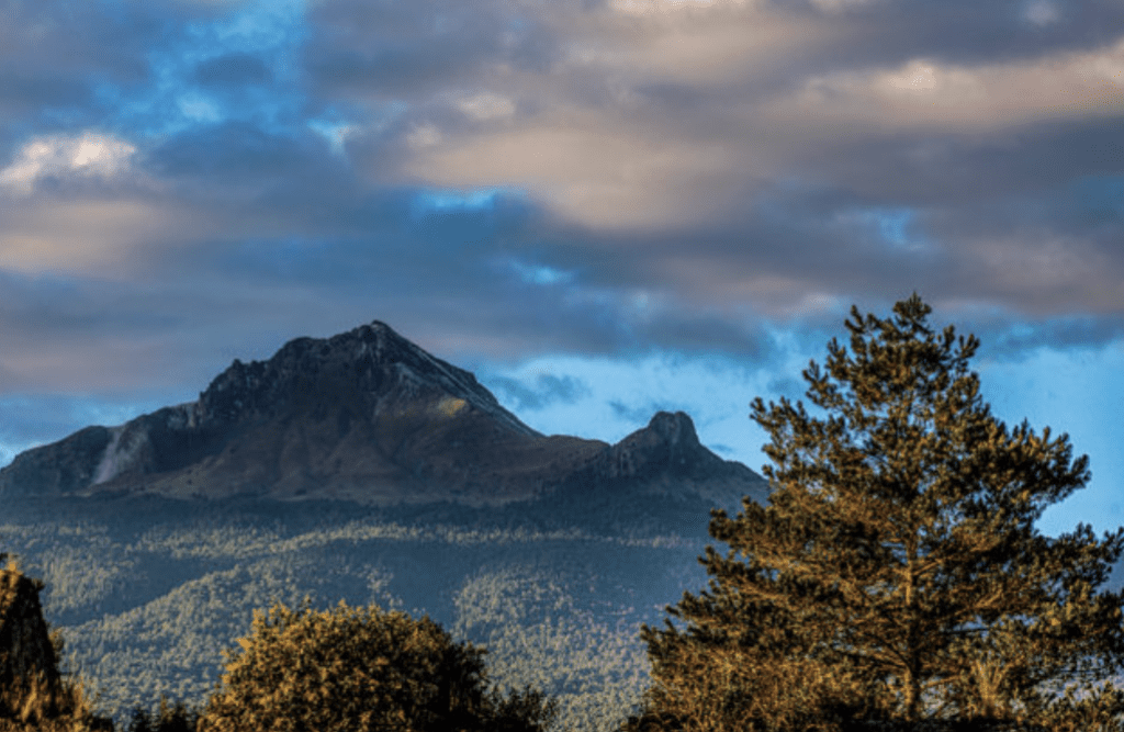Inicia plantación de 50 mil pinos para fortalecer La Malinche