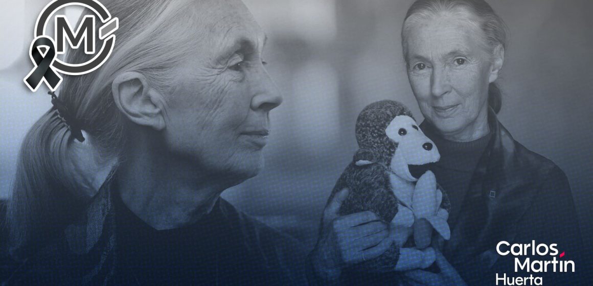 Muere Jane Goodall, científica que redefinió la comprensión de los chimpancés