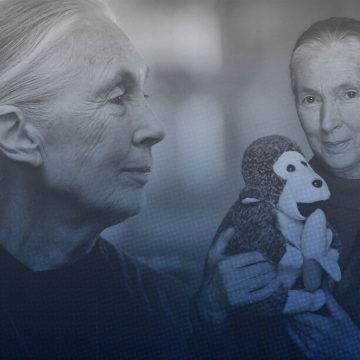 Muere Jane Goodall, científica que redefinió la comprensión de los chimpancés