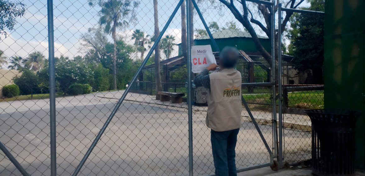 Profepa levanta clausura temporal al zoológico “La Pastora” tras mejoras en bienestar animal y control sanitario