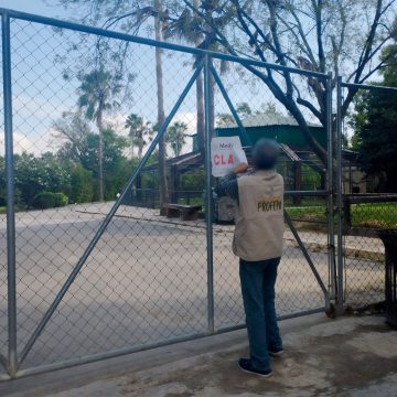 Profepa levanta clausura temporal al zoológico “La Pastora” tras mejoras en bienestar animal y control sanitario
