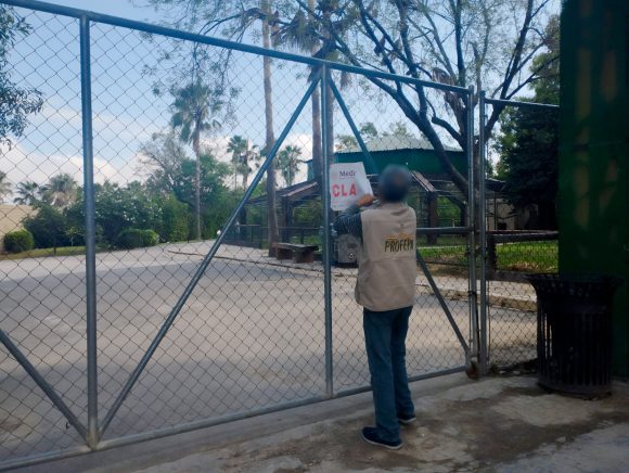 Profepa levanta clausura temporal al zoológico “La Pastora” tras mejoras en bienestar animal y control sanitario