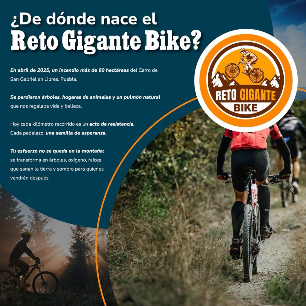 Libres invita al Reto Gigante Bike 2025 para impulsar la reforestación 2 Libres invita al Reto Gigante Bike 2025 para impulsar la reforestacion 3