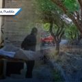 Localizan dos cuerpos con impactos de bala en Tepanco de López