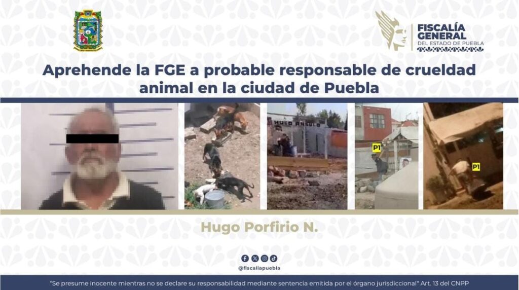 Otorgan libertad a Hugo Porfirio N., vinculado a proceso por crueldad animal agravada 1 Maltrato animal