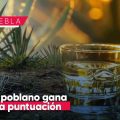 Mezcal poblano brilla en el Spirits Selection 2025 con 16 medallas