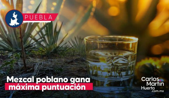 Mezcal poblano brilla en el Spirits Selection 2025 con 16 medallas