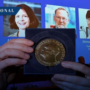 Nobel de Medicina 2025 Premio Nobel de Medicina 2025 para científicos por su tolerancia inmunológica periférica